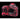 Canon EOS R5 Mark II Full Frame Mirrorless Camera - T K FOTO TECHNIC PTE LTD