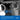 Tapo C200C Pan/Tilt Home Security Wi-Fi Camera - T K FOTO TECHNIC PTE LTD