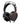 FiiO FT7