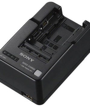 Sony BC-QM1 Battery Charger - iagtkfoto