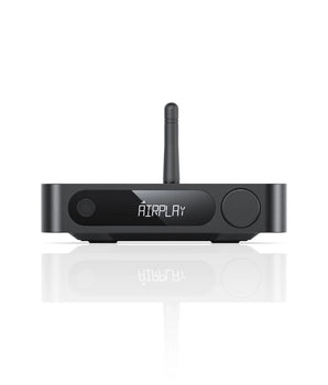 FiiO SR11 Streaming Music Receiver - TK FOTO Technic Pte Ltd