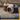 NiSi Highlight Diffusion Filter (HDF) for Fujifilm X100 Series - T K FOTO TECHNIC PTE LTD